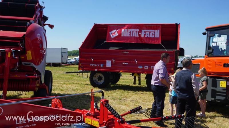 ZIELONE AGRO SHOW 2017 w Ułężu (niedziela, 28 maja)