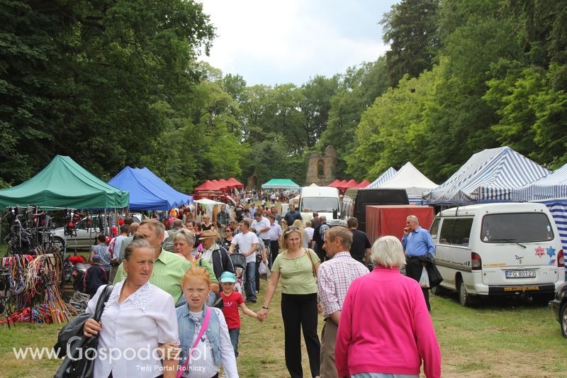  XX Targi Rolnicze Lubniewice