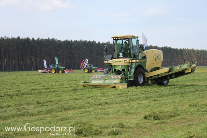 Zielone Agro Show pokaz maszyn rolniczych