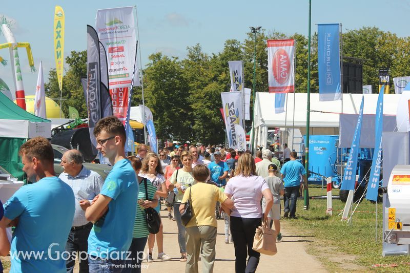 Targi rolne w Szepietowie (27-28.06.2015)