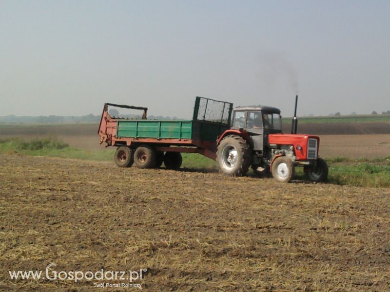 Wywóz Obornika