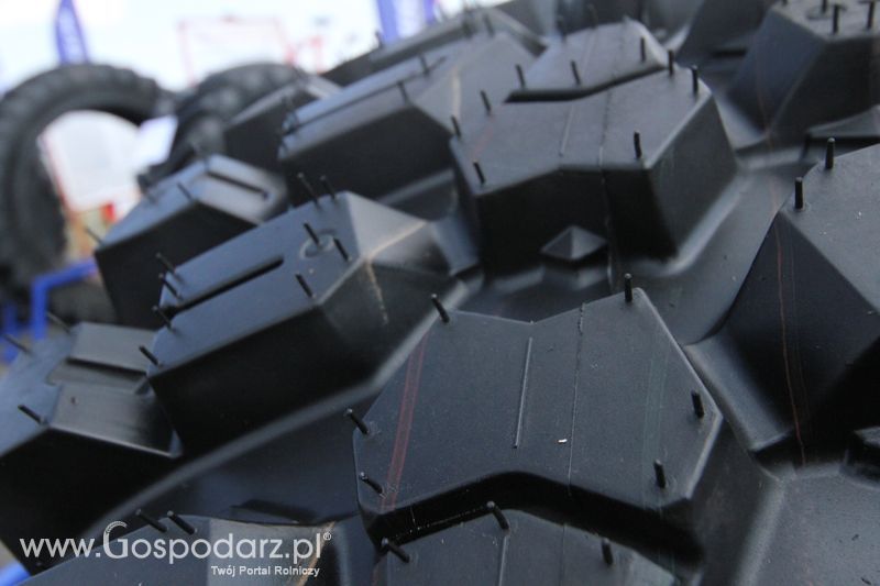 Grasdorf na OPOLAGRA Kamień Śląski 2018