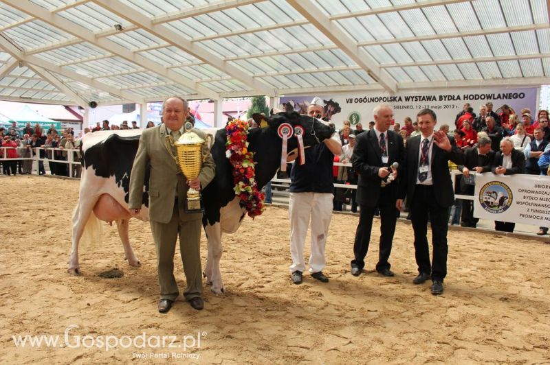 Championi VII Ogólnopolskiej Wystawy Bydła Hodowlanego - Sielinko 2012