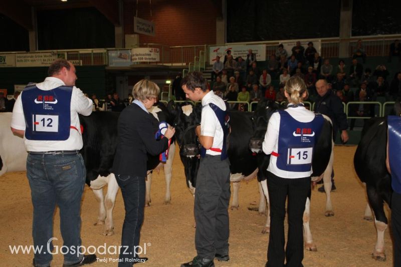 Wystawa  Blickpunkt Rind 2013 w miejscowości Paaren/Glien (Niemcy)