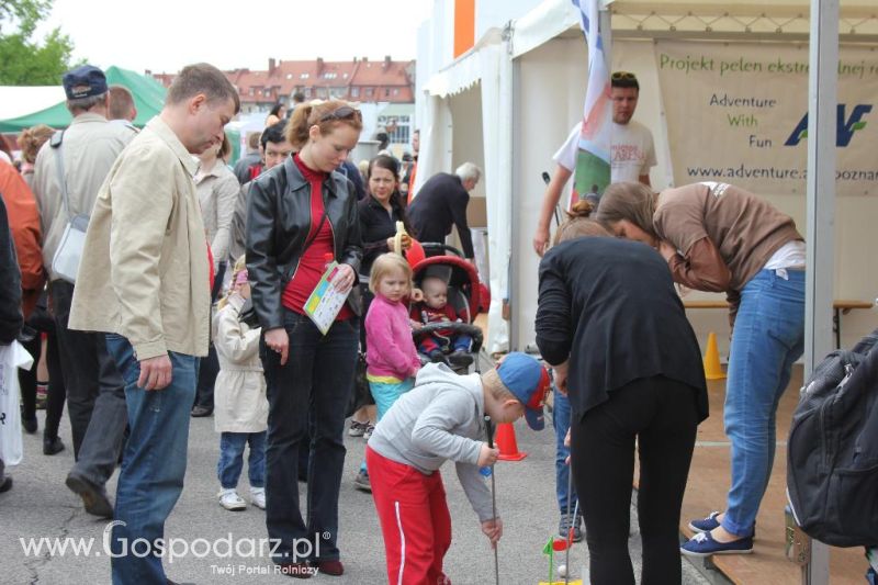 Mięsna Arena 2013 w Poznaniu