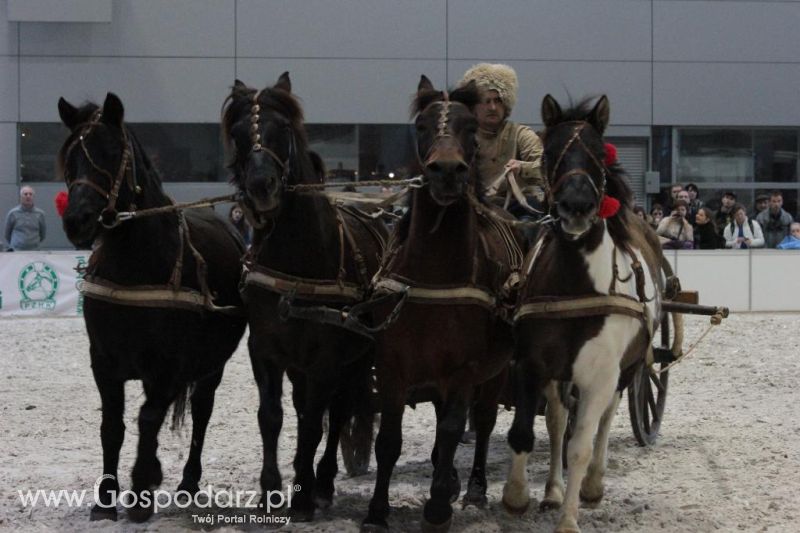 CAVALIADA 2013 w Poznaniu