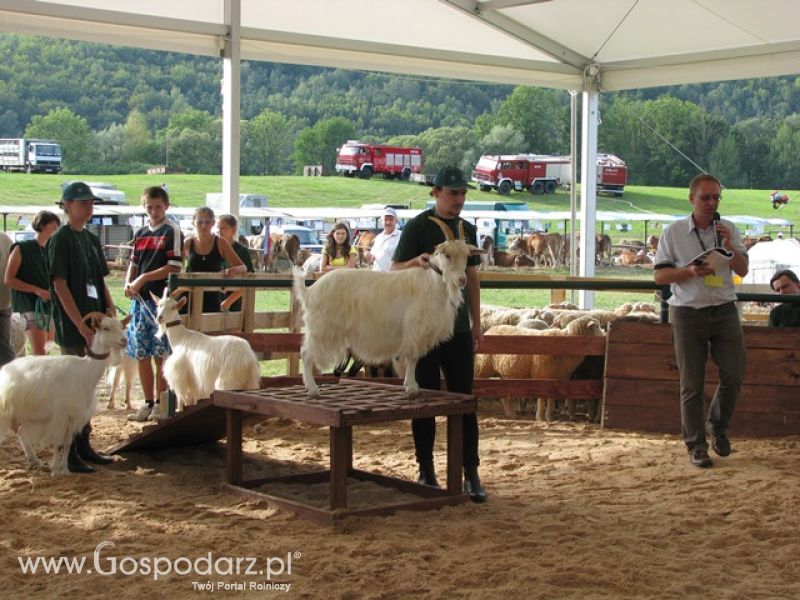 Krajowa Wystawa Ras Rodzimych Rudawka Rymanowska 2012
