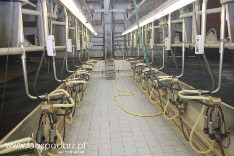 Wyjazd studyjny na farmę w Hohenhameln (Niemcy)