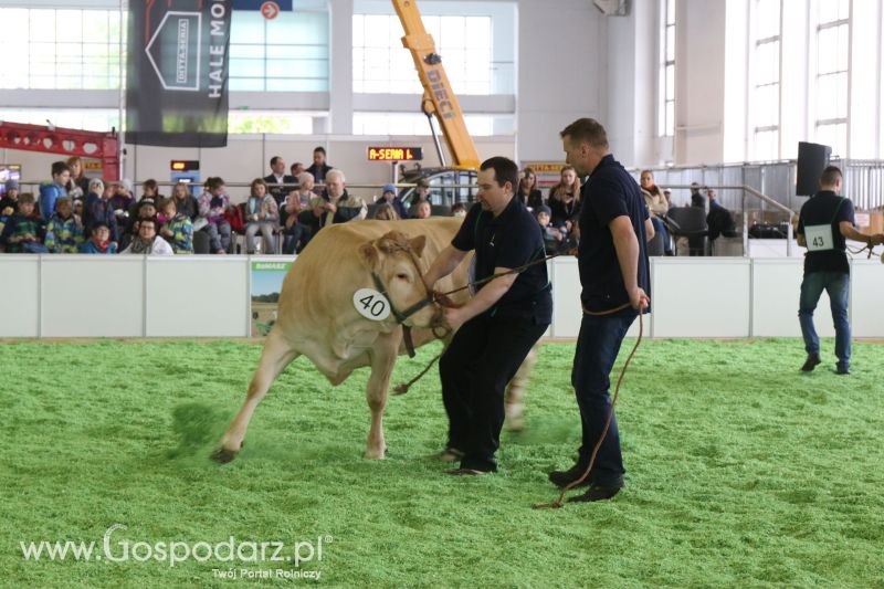 Krajowa Wystawa Zwierząt Hodowlanych w Poznaniu 2017 (piątek, 5 maja)