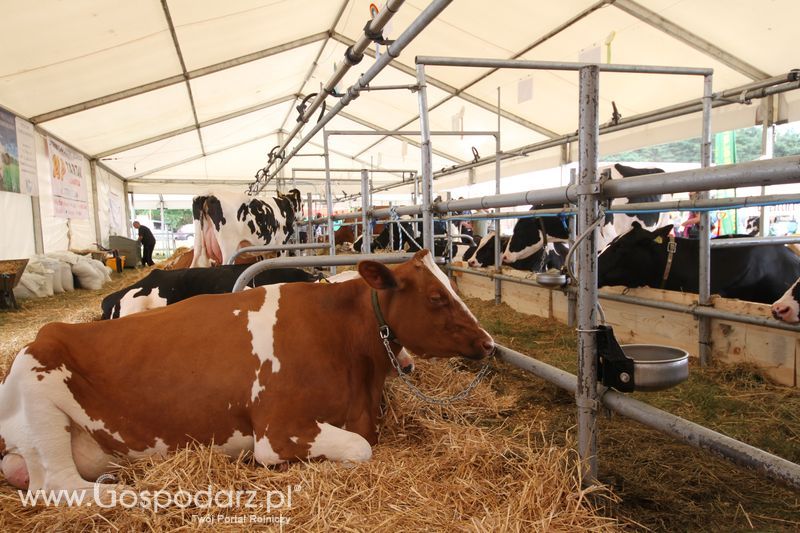 Sobota na Opolagrze 2016 razem z Gospodarz.pl