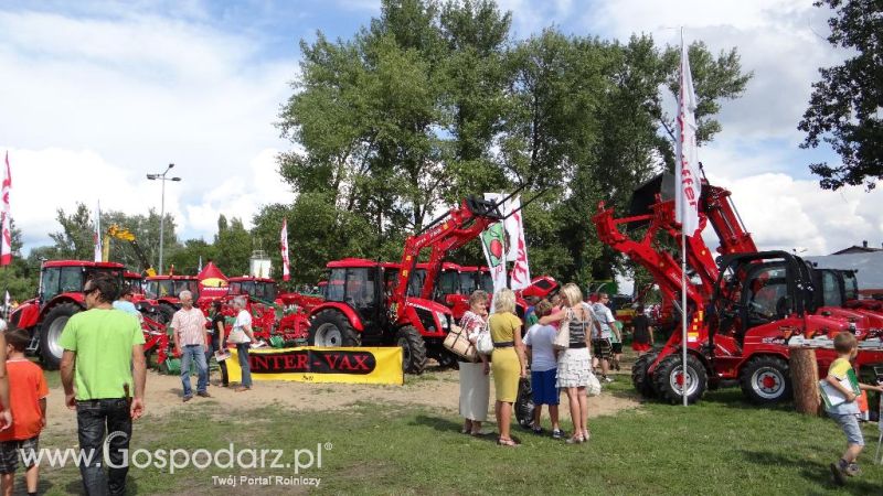 XVII Pałuckie Targi Rolne i XI Pałucka Wystawa Zwierząt Hodowlanych w Żninie