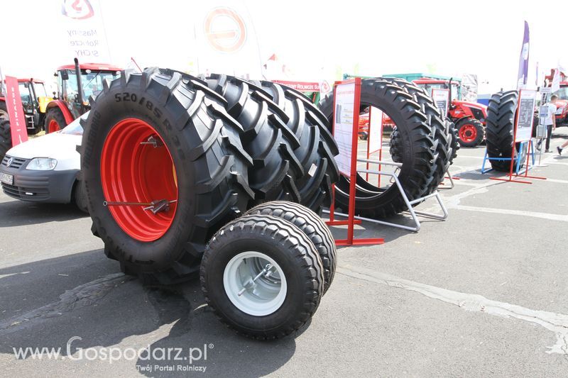 Grasdorf na OPOLAGRZE 2016