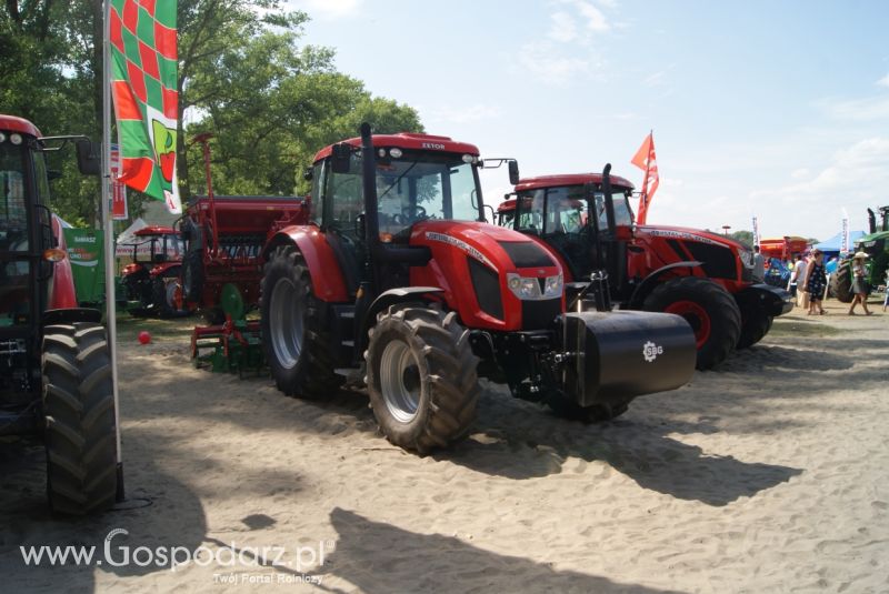PAŁUCKIE TARGI ROLNE 22-23.08.2015 