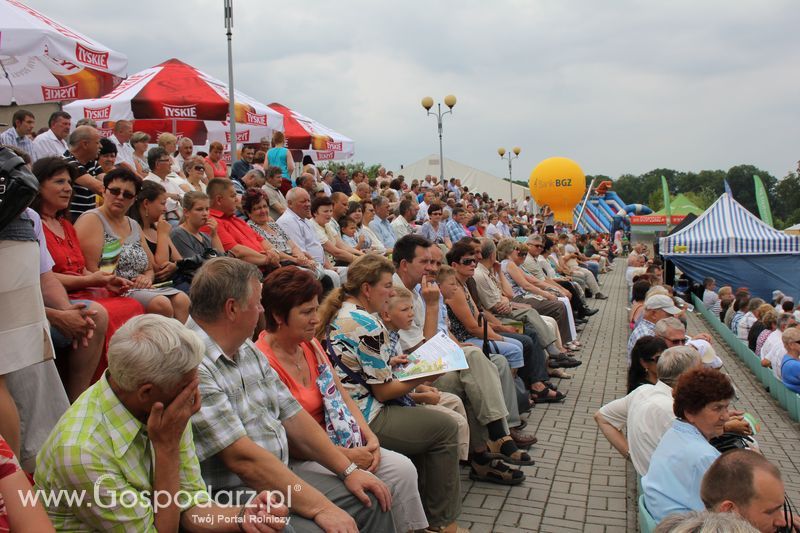 VIII Święto Gęsi w Biskupcu