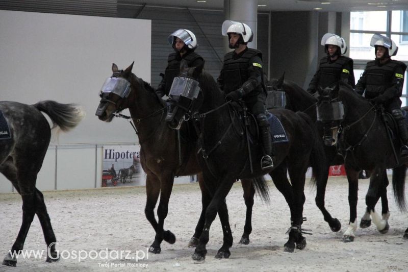 CAVALIADA 2013 w Poznaniu