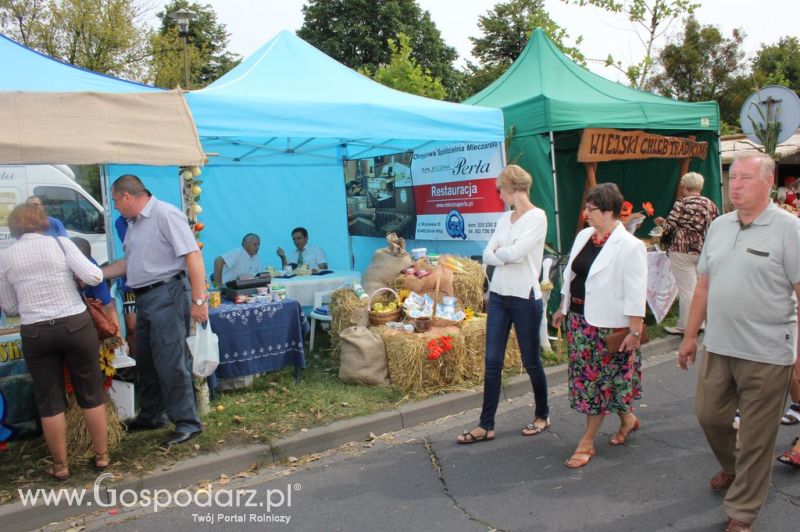 XIV Wojewódzko-Diecezjalne Dożynki Wielkopolskie w Ostrowie Wielkopolskim
