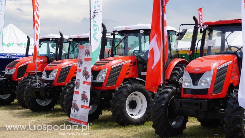 OPOLAGRA 2015 w Kamieniu Śląskim
