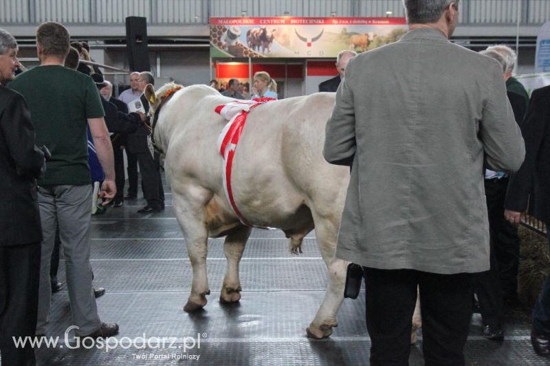 XXVI Krajowa Wystawa Zwierząt Hodowlanych - sobota i niedziela