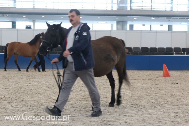 Krajowa Wystawa Zwierząt Hodowlanych w Poznaniu 2017 (niedziela, 7 maja)