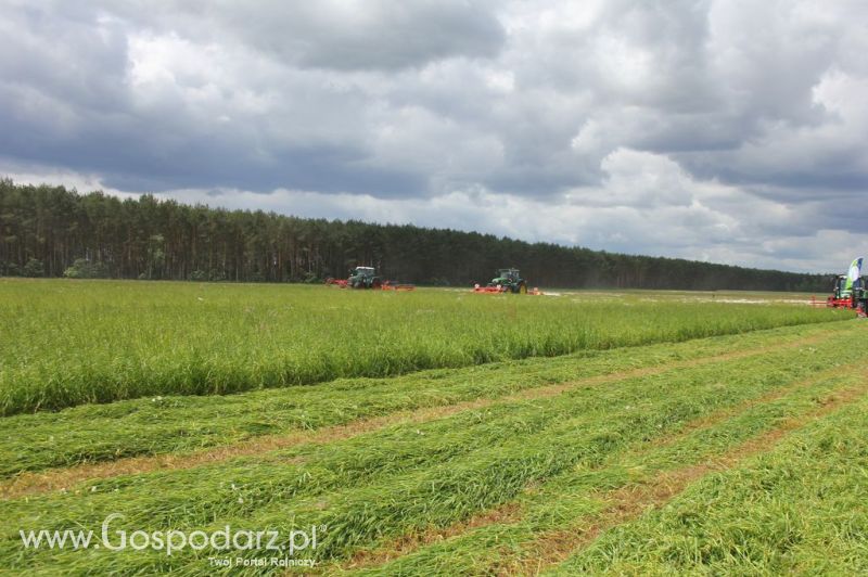 Pokazy maszyn Polskie Zboża Zielone Agro Show 2012