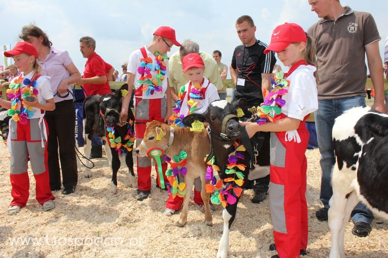 Wystawa Bydła: Konkurs Młodego Hodowcy - Opolagra 2011