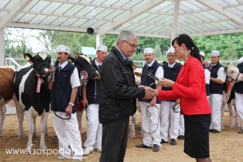 Prezentacja Championów na VII Ogólnopolskiej Wystawie Bydła Hodowlanego w Sielinku 2012