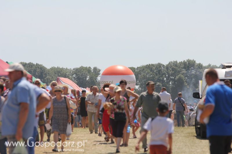 Targi Agro -Tech w Minikowie 2015