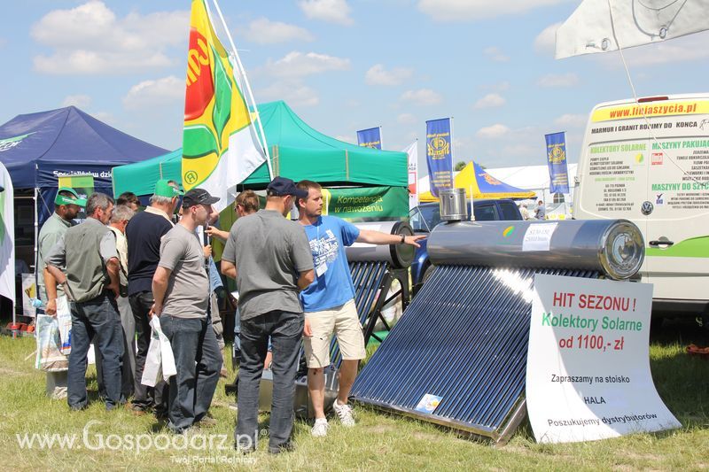 Polskie Zboża 2011 - Sobota