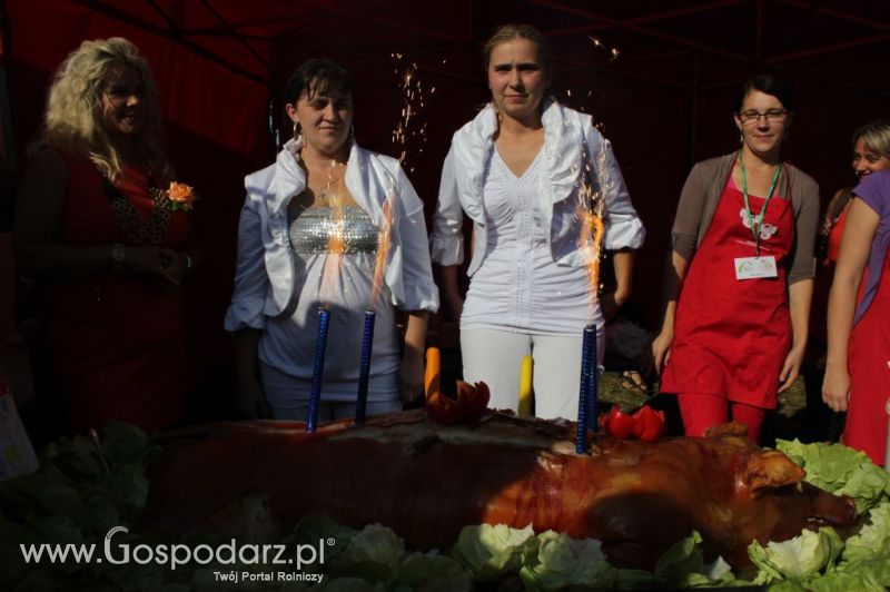 II Festiwal Wieprzowiny w Wąbrzeźnie