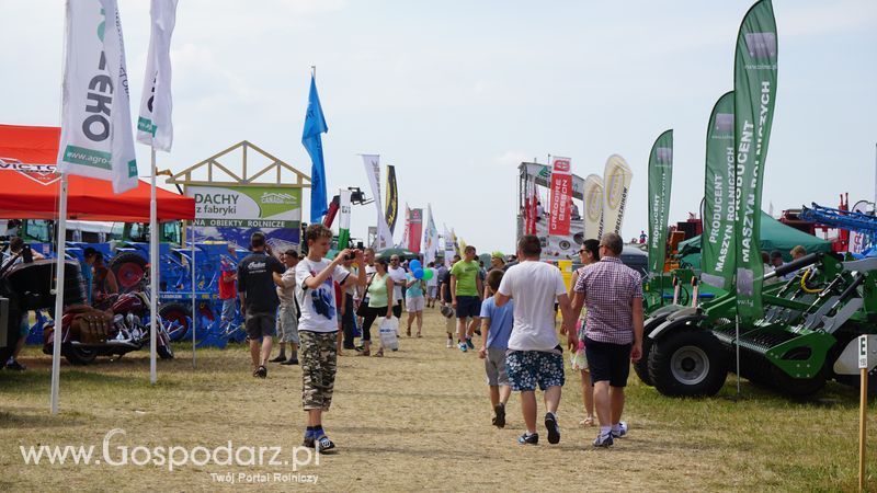 OPOLAGRA 2015 w Kamieniu Śląskim