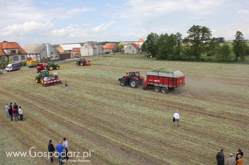Pokazy polowe Romanów k/Krotoszyna
