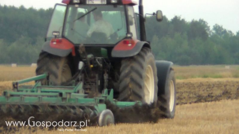Talerzowane 2013 