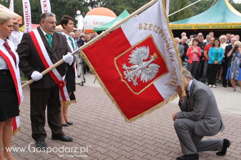 I Krajowa Wystawa Bydła Mięsnego w Sielinku - sobota