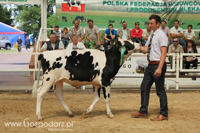 Czempioni XVII Regionalnej Wystawy Zwierząt Hodowlanych Sielinko 2011
