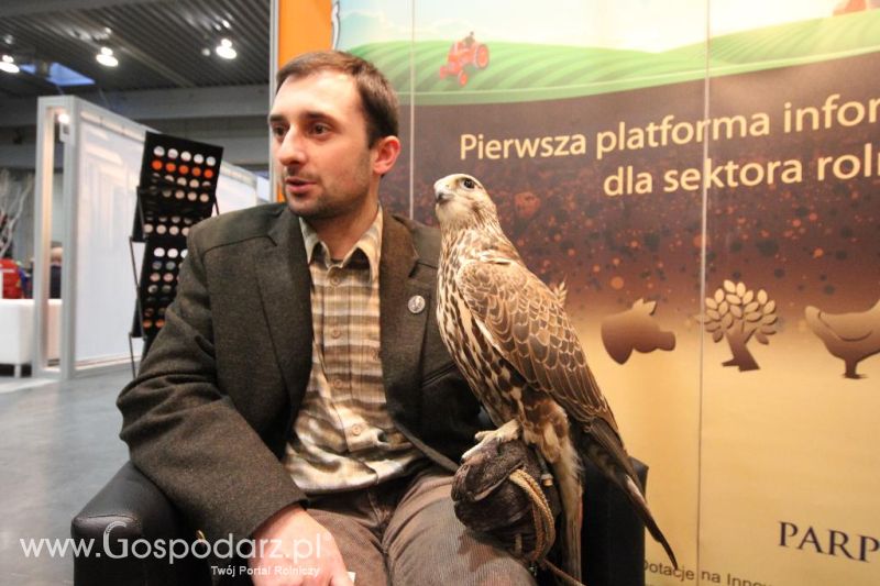CAVALIADA 2013 w Poznaniu
