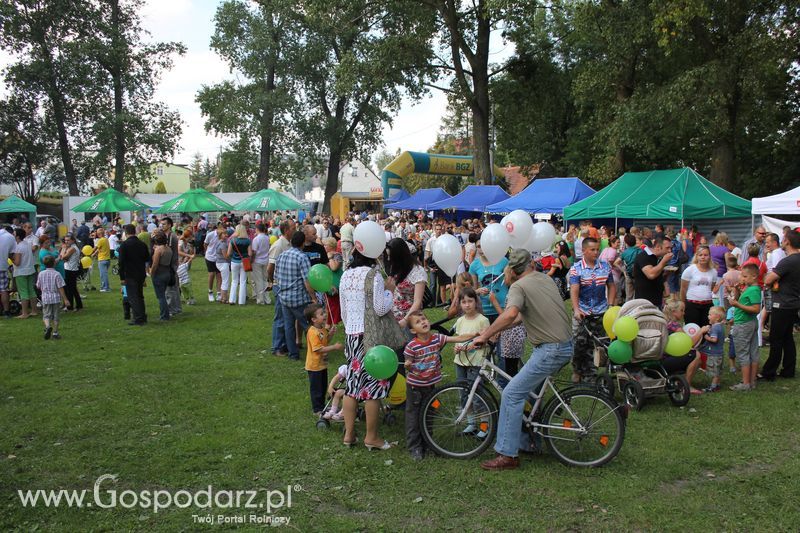 Ogólnopolski Festiwal Wieprzowiny w Łasinie
