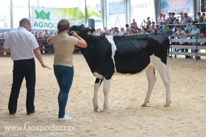 Regionalna Wystawa Zwierząt Hodowlanych i Dni z Doradztwem Rolniczym w Szepietowie-niedziela
