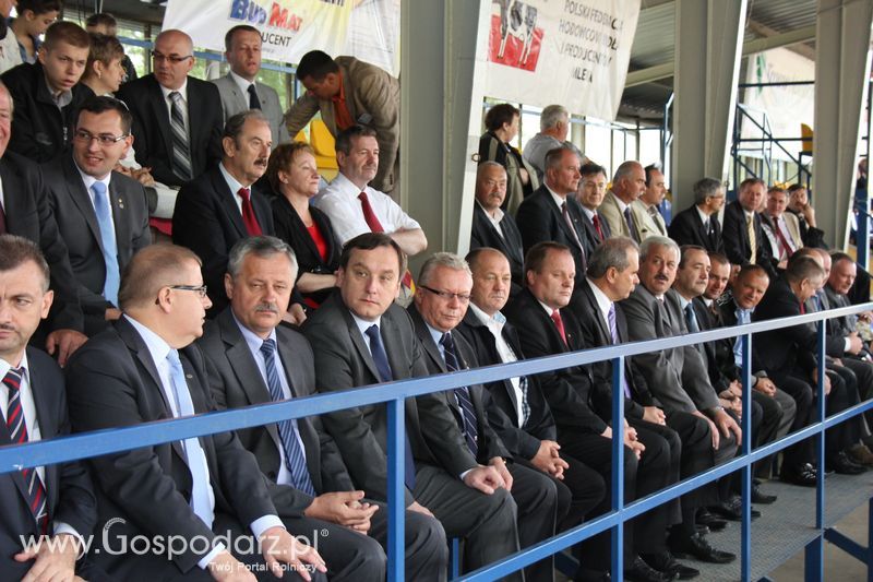 XVIII Regionalna Wystawa Zwierząt Hodowlanych w Szepietowie - niedziela