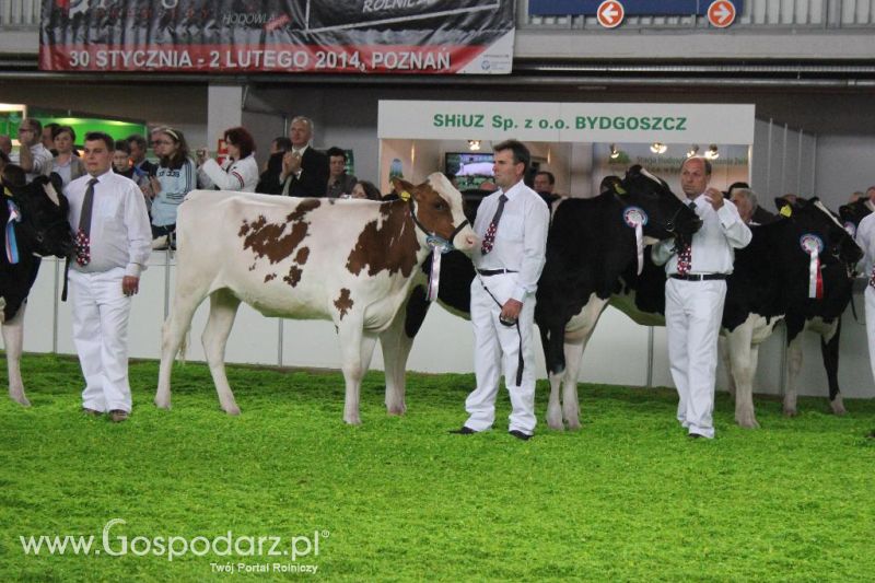 XXVI Krajowa Wystawa Zwierząt Hodowlanych - sobota i niedziela
