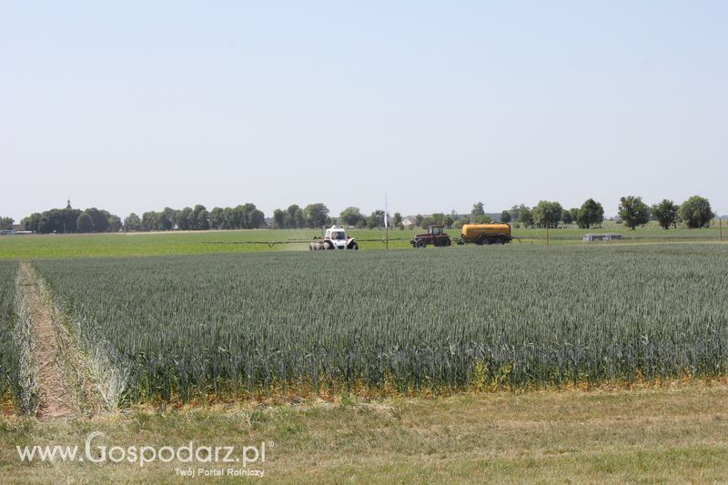 Polskie Zboża 2011 - Piątek 