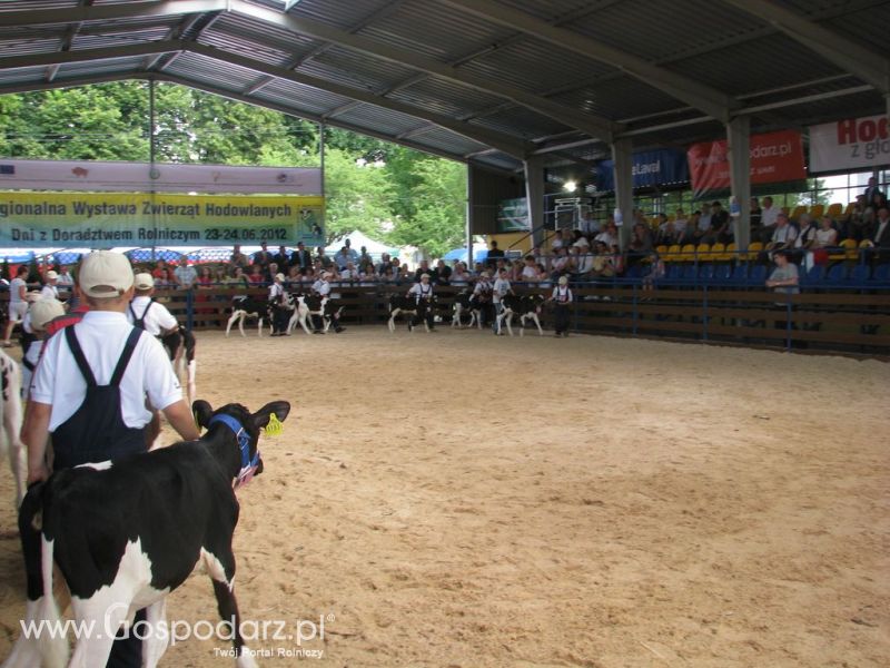 Młody Hodowca - Szepietowo 2012 XIX Regionalna Wystawa Zwierząt Hodowlanych
