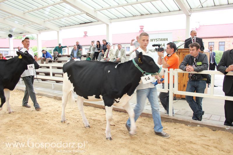 Wystawa bydła Sielinko 2011