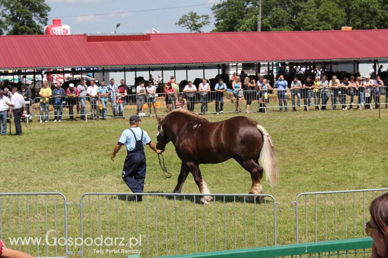 Szepietowo 2012 XIX Regionalna Wystawa Zwierząt Hodowlanych, I Ogólnopolska Wystawa Drobiu oraz Dni z Doradztwem Rolniczym