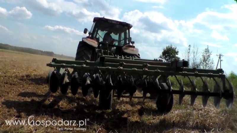 Talerzowane 2013 
