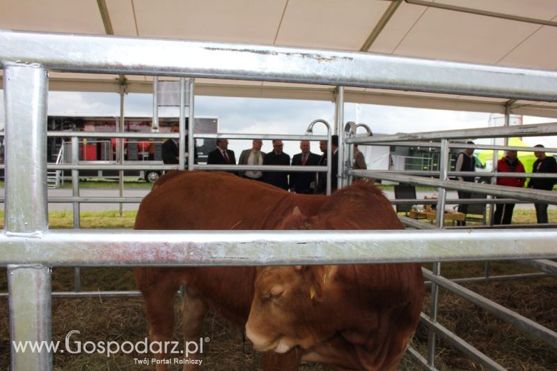 Zielone Agro Show 2012 Kąkolewo - Polskie Zboża 
