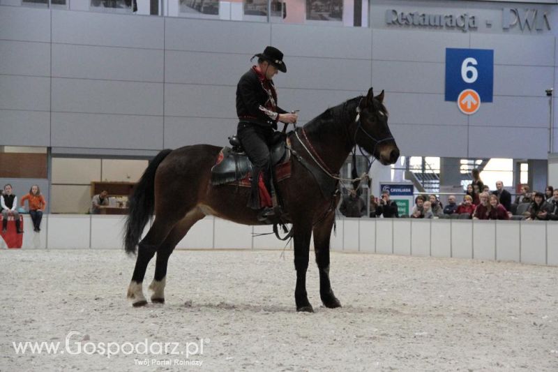 CAVALIADA 2013 w Poznaniu