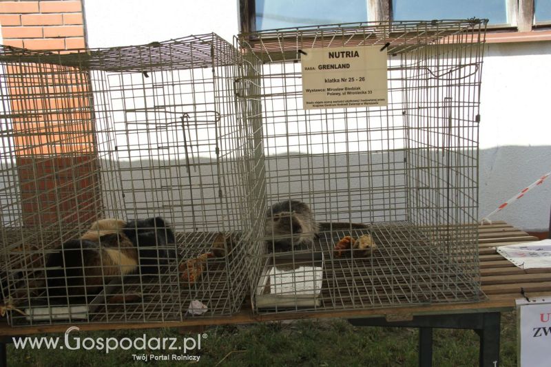 Zielone AGRO SHOW – POLSKIE ZBOŻA 2014 w Sielinku - niedziela