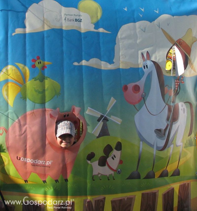 Zdjęcia ze świnką na Agro Show 2012 niedziela