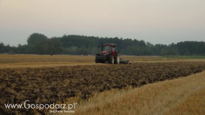 Talerzowane 2013 