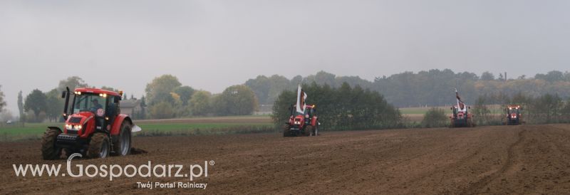 Zdjęcia z pokazów polowych INTER-VAX w Toniszewie